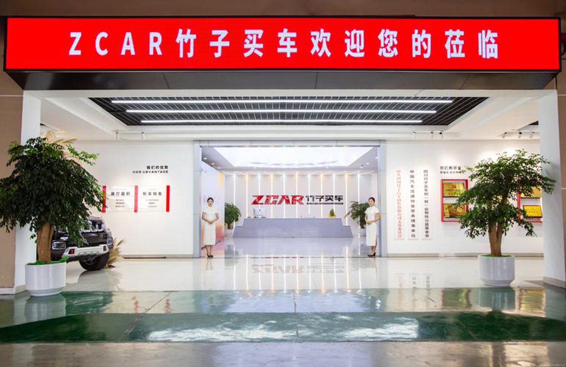 竹子买车